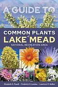 E-Book (pdf) Guide to Common Plants of Lake Mead National Recreation Area von Powell Elizabeth A. Powell, Landau Frederick H. Landau, Walker Lawrence R. Walker