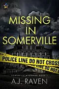 E-Book (epub) Missing in Somerville von A. J. Raven