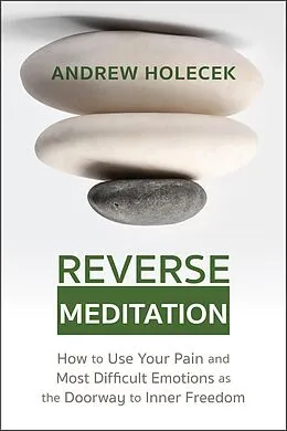 E-Book (epub) Reverse Meditation von Andrew Holecek