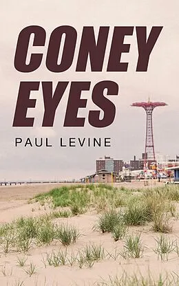 E-Book (epub) Coney Eyes von Paul Levine