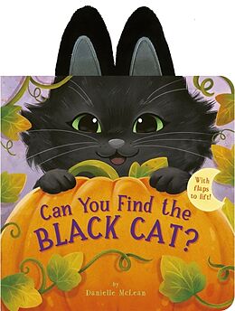 Reliure en carton indéchirable Can You Find the Black Cat? de Danielle McLean, Tiger Tales