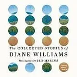 Digital The Collected Stories of Diane Williams von Diane Williams