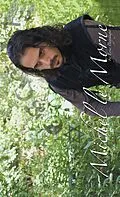 E-Book (epub) Michel Le Morne von Eric Baysinger