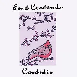 E-Book (epub) Send Cardinals von Candidie