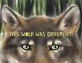 E-Book (epub) This Wolf Was Different von Katie Slivensky