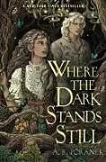 Kartonierter Einband Where the Dark Stands Still von A. B. Poranek