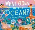 E-Book (epub) What Goes in the Ocean? von Dori Elys