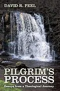 E-Book (epub) Pilgrim's Process von David R. Peel