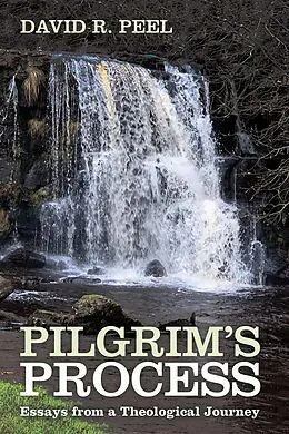 E-Book (epub) Pilgrim's Process von David R. Peel