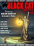 E-Book (epub) Black Cat Weekly #25 von Wildside Press