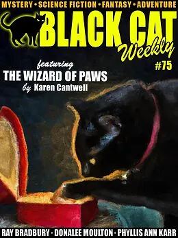 E-Book (epub) Black Cat Weekly #75 von Wildside Press