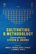 E-Book (epub) Cultivating Q Methodology von James C. Rhoads