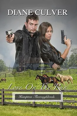E-Book (epub) Love On The Run von Diane Culver