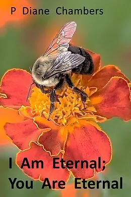 E-Book (epub) I Am Eternal; You Are Eternal von P Diane Chambers