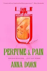 Kartonierter Einband Perfume and Pain von Anna Dorn