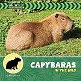 Kartonierter Einband Capybaras in the Wild von Meeg Pincus