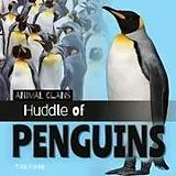 Kartonierter Einband Huddle of Penguins von Tara Haelle