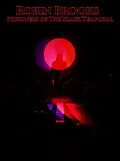 E-Book (epub) Robin Brooks von Derrick Wallen Jr