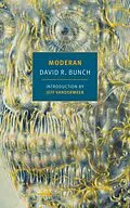 E-Book (epub) Moderan von David R. Bunch
