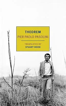 E-Book (epub) Theorem von Pier Paolo Pasolini