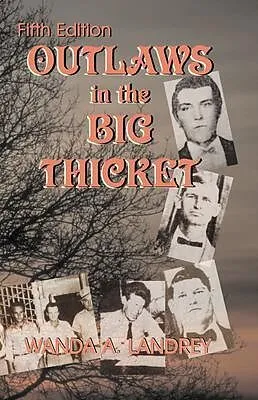 E-Book (epub) Outlaws in the Big Thicket von Wanda A Landrey