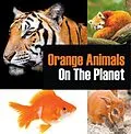 E-Book (epub) Orange Animals On The Planet von Baby