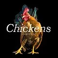 E-Book (epub) Chickens von Ernest Goh