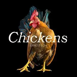E-Book (epub) Chickens von Ernest Goh