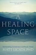 Broché A Healing Space de Matt Licata