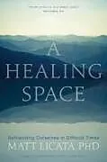Broschiert A Healing Space von Matt Licata