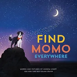 E-Book (epub) Find Momo Everywhere von Andrew Knapp