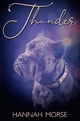 E-Book (epub) Thunder von Hannah Morse