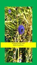 E-Book (epub) Frequency Study Guide Rabbit Proof Fence von Sophia von Sawilski