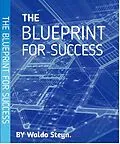 E-Book (epub) Blueprint To Success von Waldo Steyn