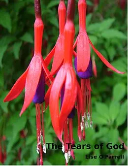 E-Book (epub) The Tears of God von Lise O'Farrell