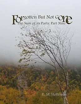 E-Book (epub) Forgotten But Not Gone von E. M. Holloway