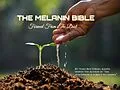 E-Book (epub) The Melanin Bible von Joseph Dowdy