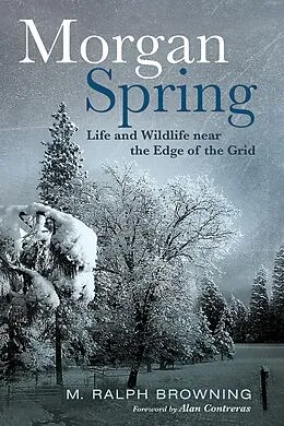 E-Book (epub) Morgan Spring von M. Ralph Browning