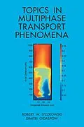 E-Book (epub) Topics in Multiphase Transport Phenomena von Robert W. Lyczkowski, Dimitri Gidaspow