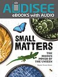 E-Book (epub) Small Matters von Heather Ferranti Kinser