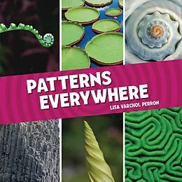 PDF Patterns Everywhere von Lisa Varchol Perron