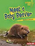E-Book (epub) Meet a Baby Beaver von Heather E. Schwartz