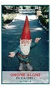 Fester Einband Gnome Alone in Carmel von Karyl Hall