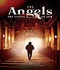 E-Book (epub) The Angels Are Flying So Low von Will Appiah