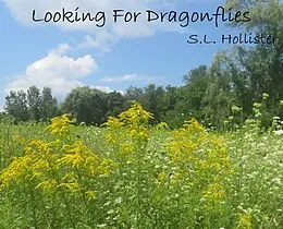 E-Book (epub) Looking For Dragonflies von S. L. Hollister