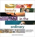 E-Book (epub) Beauty in the Ordinary von Samuel Lindamood