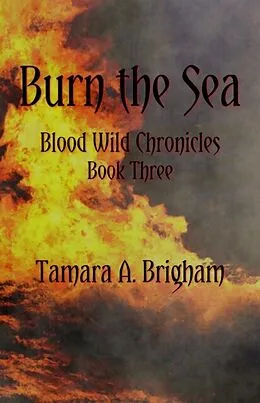 E-Book (epub) Burn the Sea von Tamara A Brigham