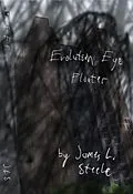 E-Book (epub) Evolution Eye Floater von James L. Steele
