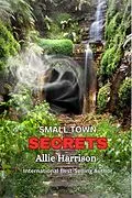 E-Book (epub) Small Town Secrets von Allie Harrison
