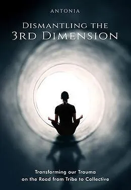 E-Book (epub) Dismantling the 3rd Dimension von Antonia